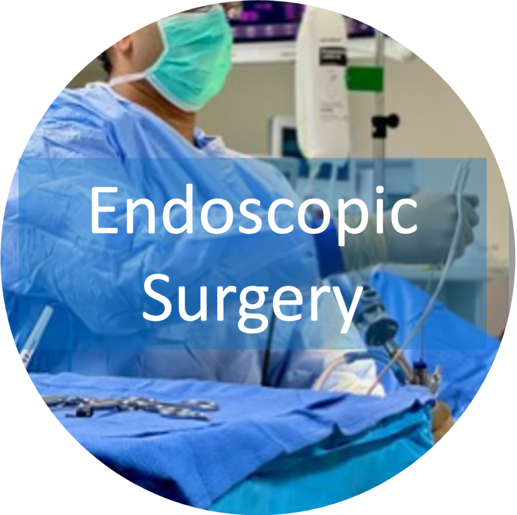 Endoscopic Spine Surgery